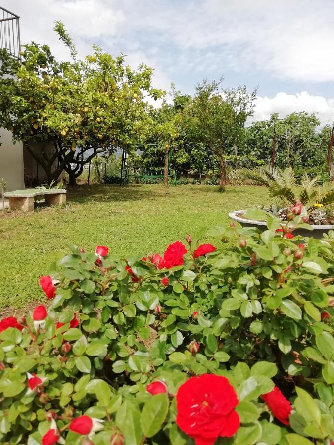 B&B Villa Le Mattine Agropoli Extérieur photo